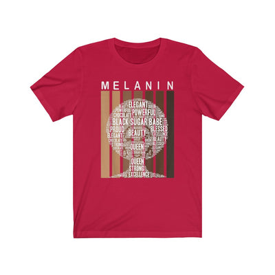"WHAT IS MELANIN" Afro Tee